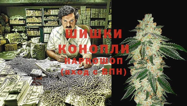 PSILOCYBIN Бронницы